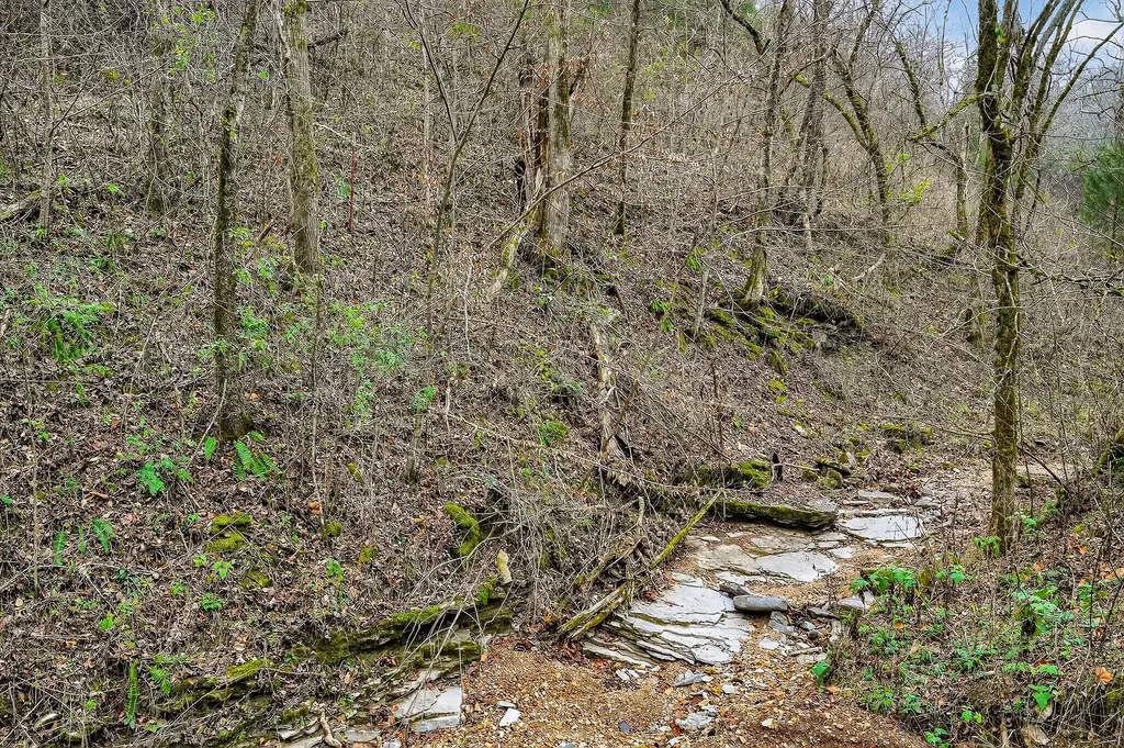 2578 Pea Ridge Road Liberty TN 37095