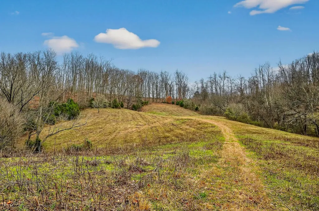 2578 Pea Ridge Road Liberty TN 37095