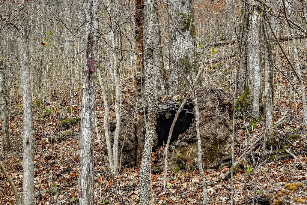 2578 Pea Ridge Road Liberty TN 37095