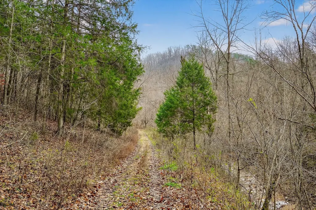 2578 Pea Ridge Road Liberty TN 37095
