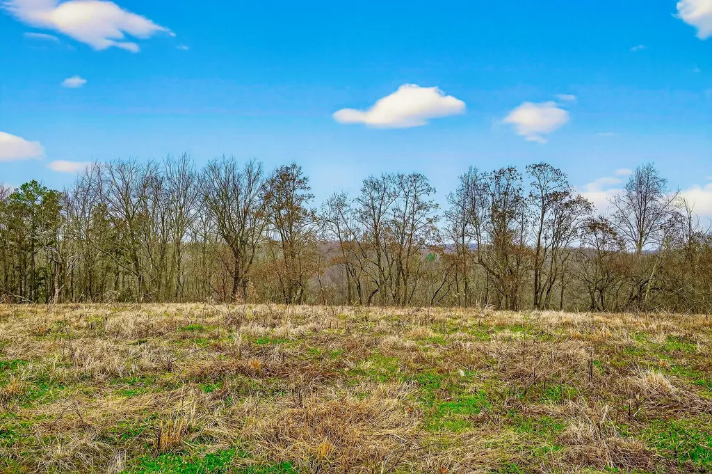 2578 Pea Ridge Road Liberty TN 37095