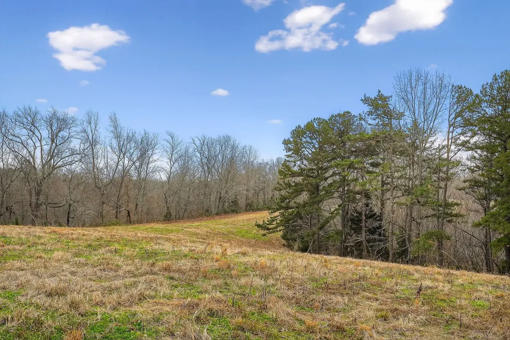 2578 Pea Ridge Road Liberty TN 37095