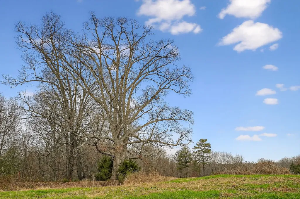 2578 Pea Ridge Road Liberty TN 37095