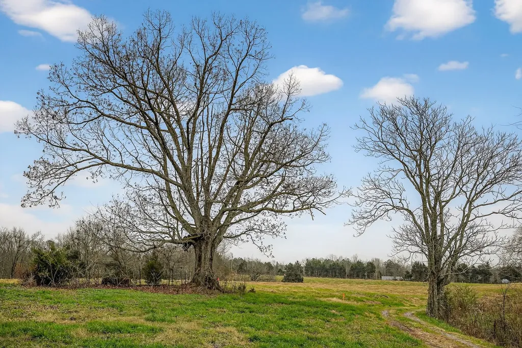 2578 Pea Ridge Road Liberty TN 37095