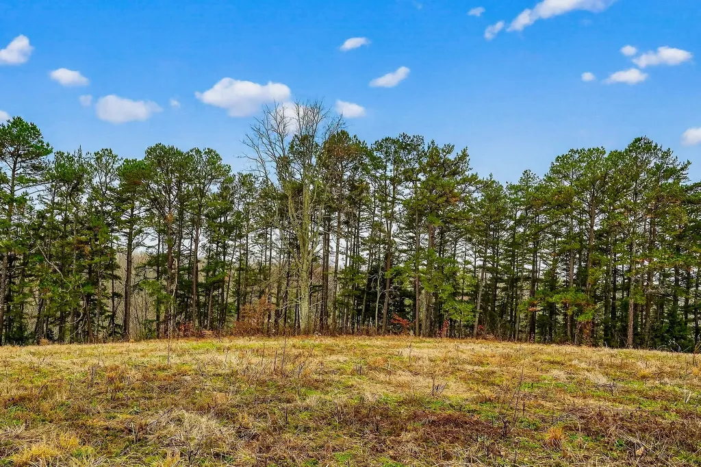 2578 Pea Ridge Road Liberty TN 37095