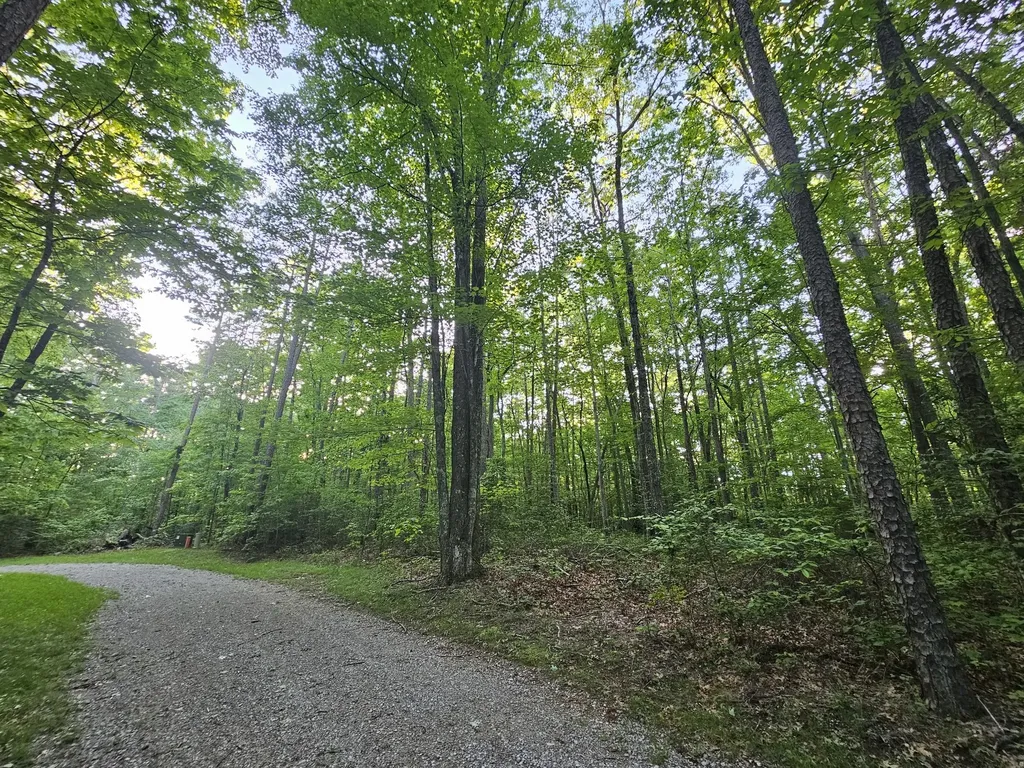 3 Woodfern Lane Coalmont TN 37313