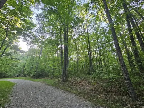 3 Woodfern Lane Coalmont TN 37313