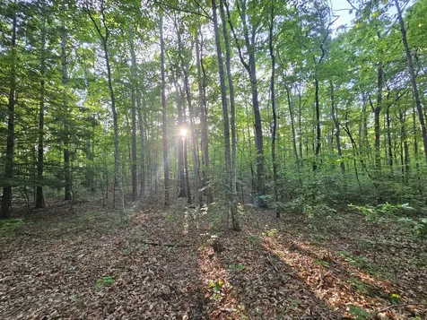 3 Woodfern Lane Coalmont TN 37313
