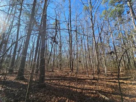 3 Woodfern Lane Coalmont TN 37313