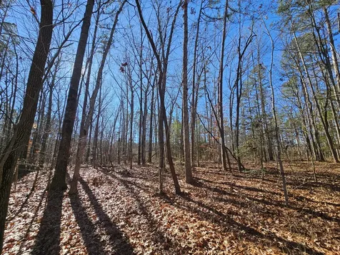 3 Woodfern Lane Coalmont TN 37313