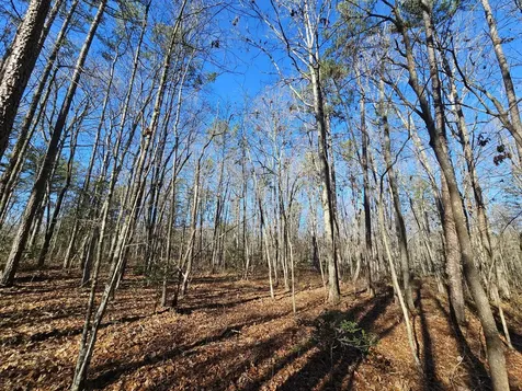 3 Woodfern Lane Coalmont TN 37313