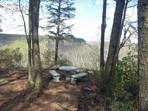 3 Woodfern Lane Coalmont TN 37313