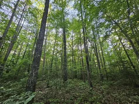 3 Woodfern Lane Coalmont TN 37313