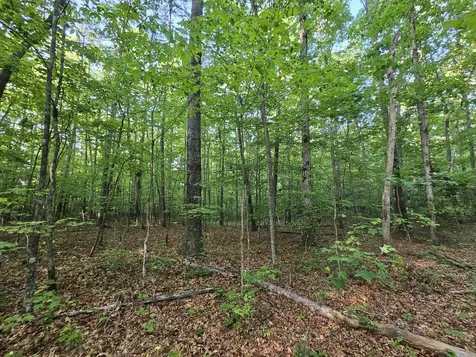 3 Woodfern Lane Coalmont TN 37313