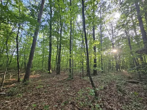 3 Woodfern Lane Coalmont TN 37313