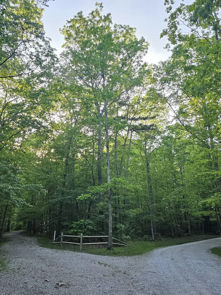 3 Savage Highland Drive Coalmont TN 37313