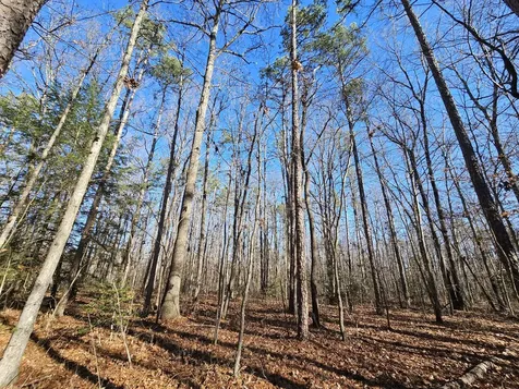 3 Savage Highland Drive Coalmont TN 37313