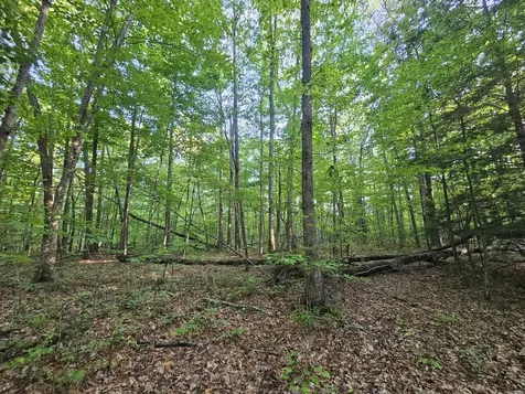 3 Savage Highland Drive Coalmont TN 37313