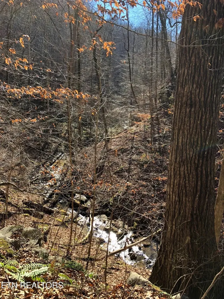 235 Sparta Street Spencer TN 38585