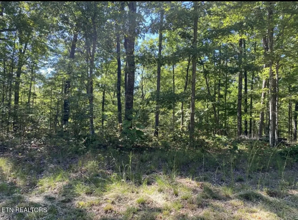 0 Eagle Bluff Jamestown TN 38556
