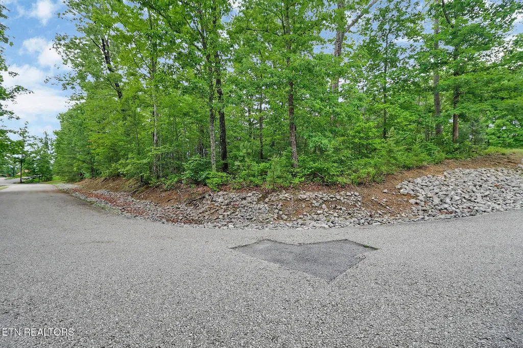 0 Eagle Bluff Jamestown TN 38556