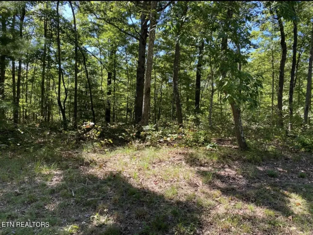 0 Eagle Bluff Jamestown TN 38556