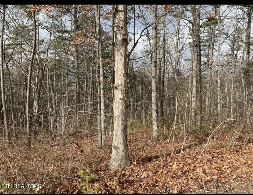 0 Eagle Bluff Jamestown TN 38556