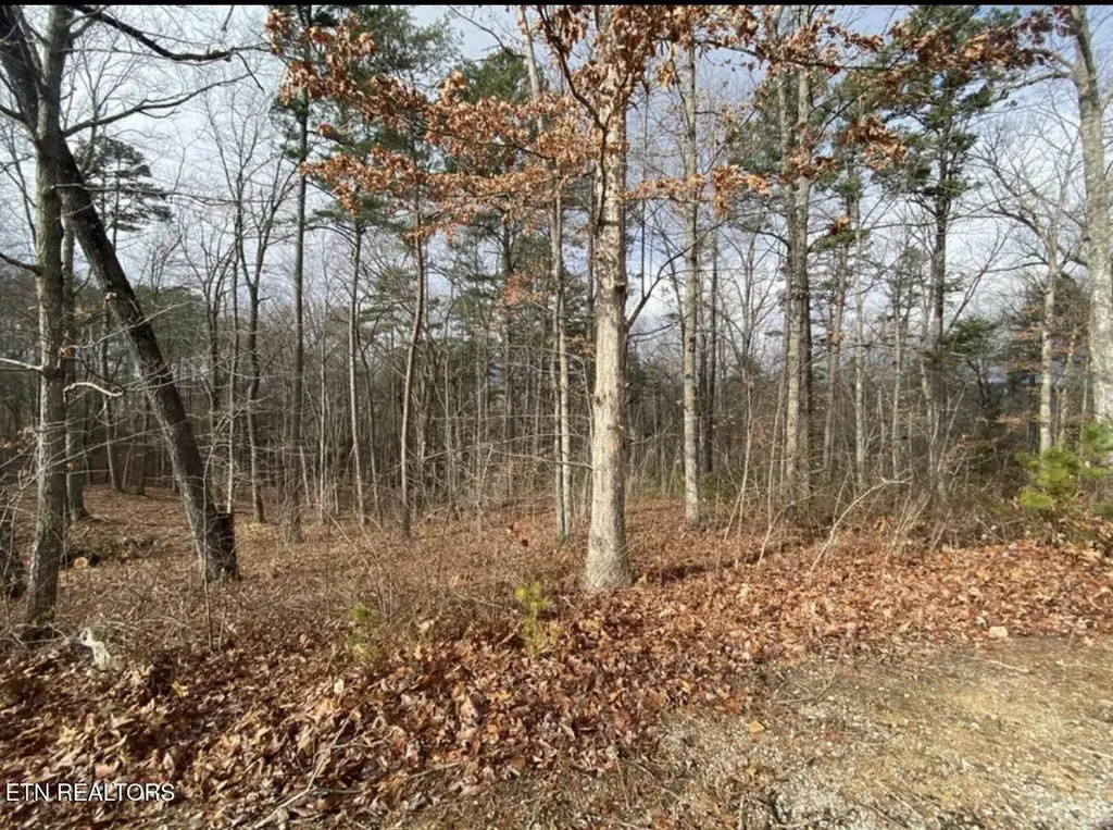 0 Eagle Bluff Jamestown TN 38556