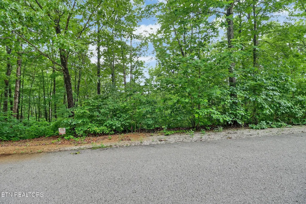 0 Eagle Bluff Jamestown TN 38556