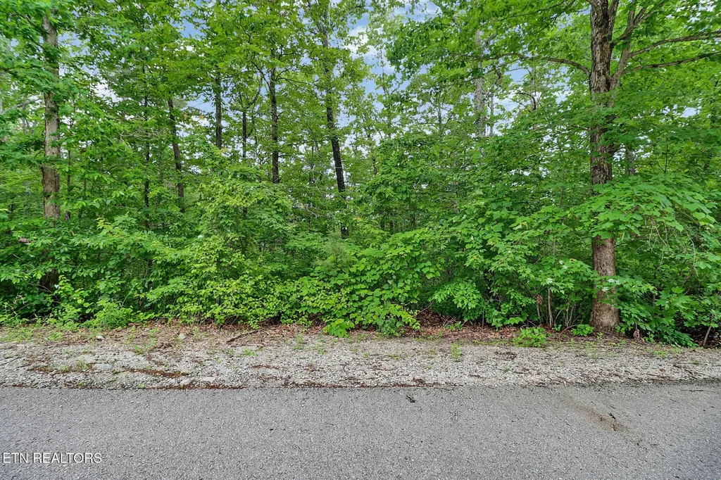 0 Eagle Bluff Jamestown TN 38556