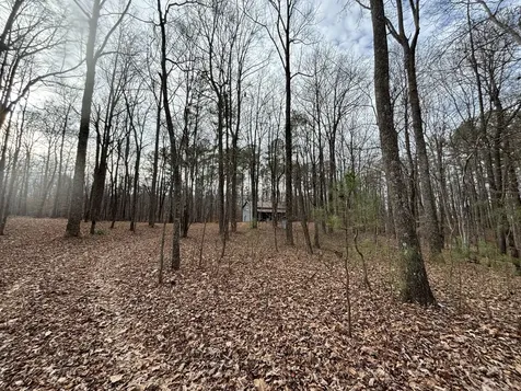 84 Granny Pratt Lane Belvidere TN 37306