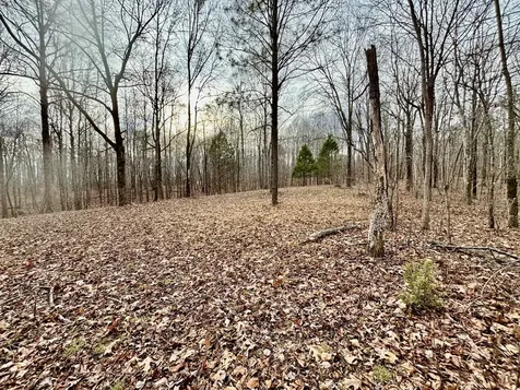 84 Granny Pratt Lane Belvidere TN 37306