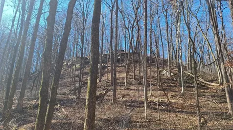 84 Granny Pratt Lane Belvidere TN 37306