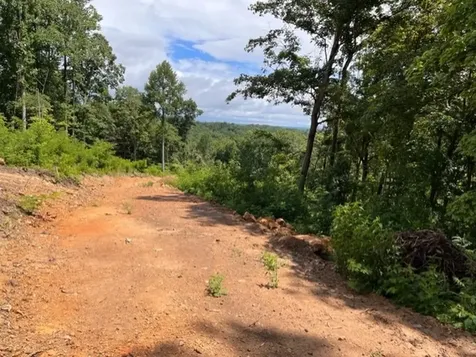 1065 Sioux Trail Pegram TN 37143