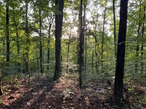 1065 Sioux Trail Pegram TN 37143