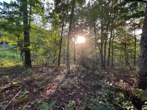 1065 Sioux Trail Pegram TN 37143
