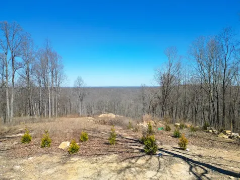 1065 Sioux Trail Pegram TN 37143