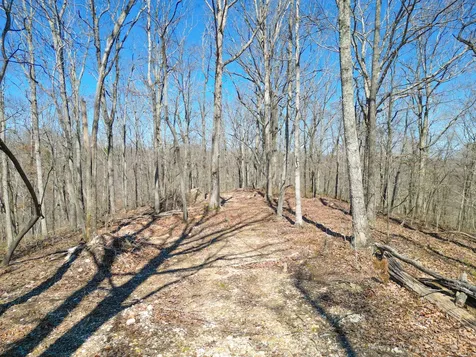 1065 Sioux Trail Pegram TN 37143