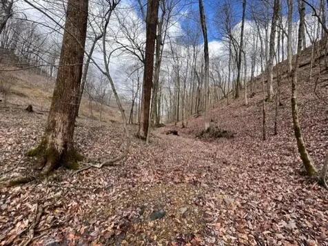 1065 Sioux Trail Pegram TN 37143