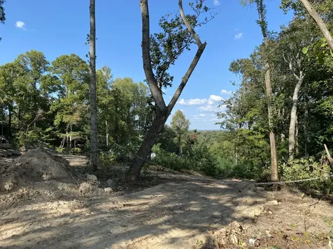 1065 Sioux Trail Pegram TN 37143