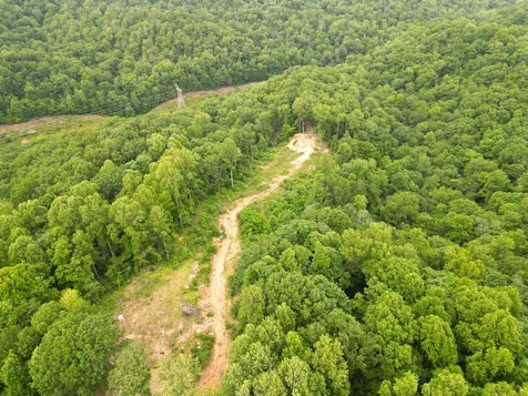 1065 Sioux Trail Pegram TN 37143