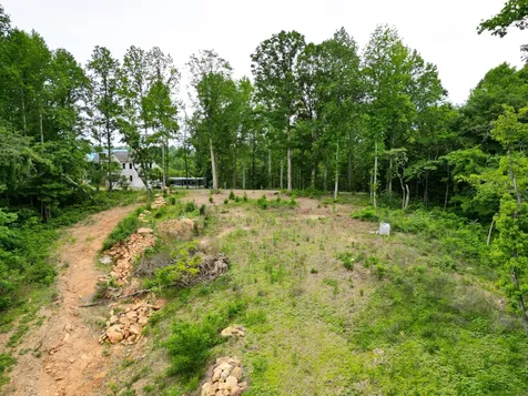 1065 Sioux Trail Pegram TN 37143