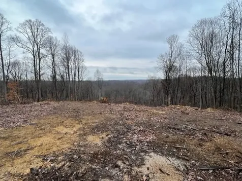 1065 Sioux Trail Pegram TN 37143