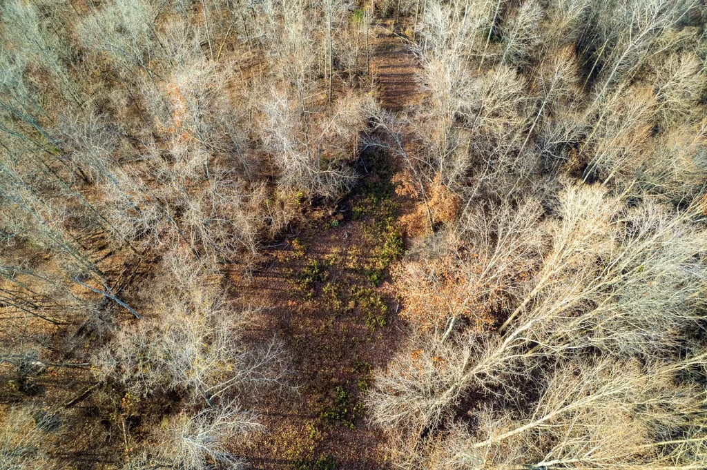 0 Hellsneck Lane Waverly TN 37185