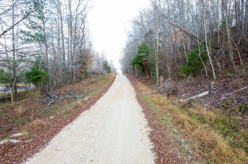 0 Hellsneck Lane Waverly TN 37185