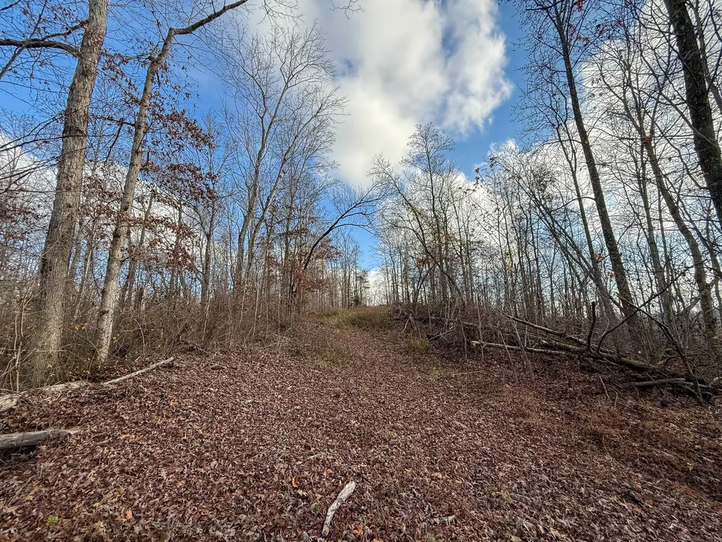 0 Hellsneck Lane Waverly TN 37185