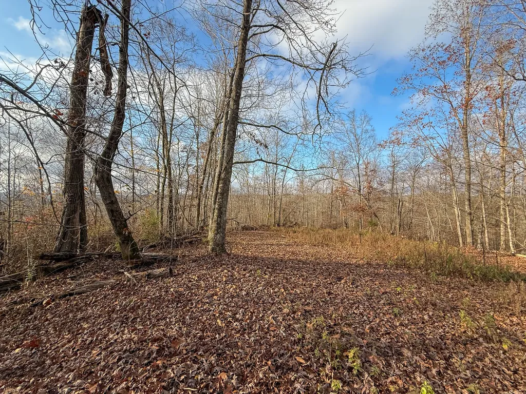 0 Hellsneck Lane Waverly TN 37185