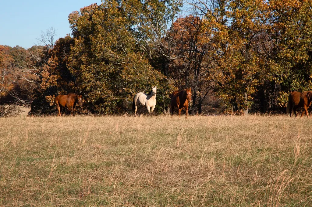 7252 Northwest Highway Fairview TN 37062