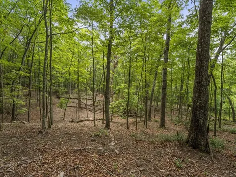 0 Eagle Rock Road Monteagle TN 37356