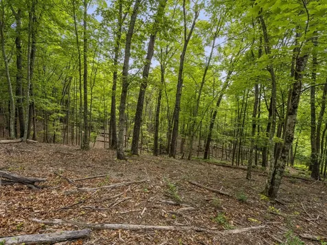 0 Eagle Rock Road Monteagle TN 37356